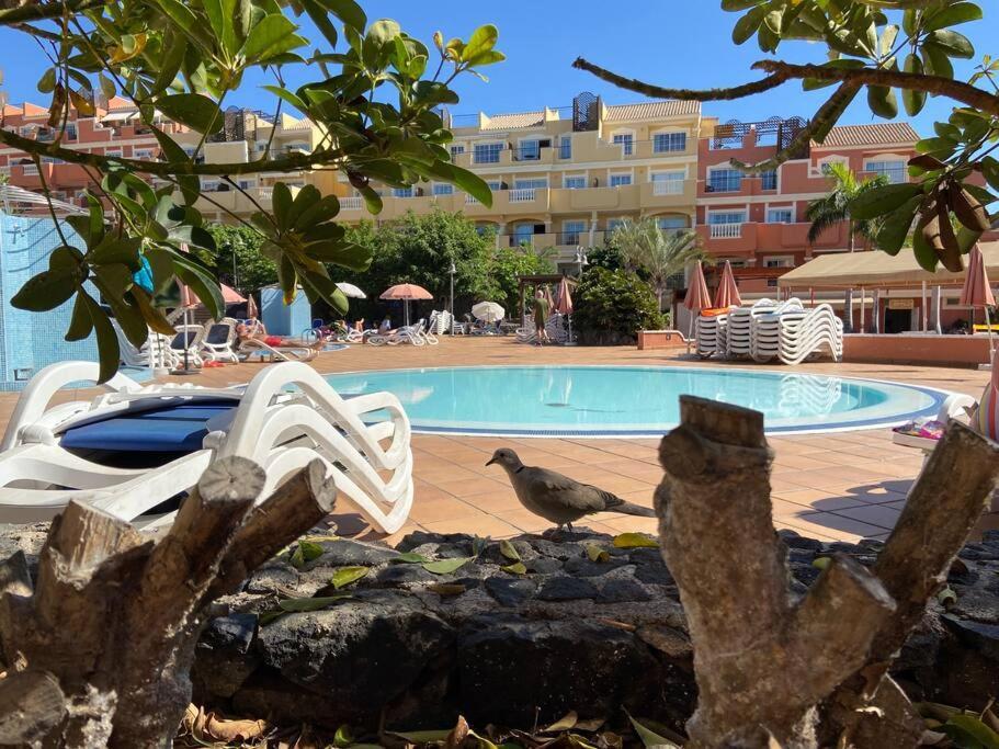 Apartament Amazing Penthouse Los Cristianos  Zewnętrze zdjęcie